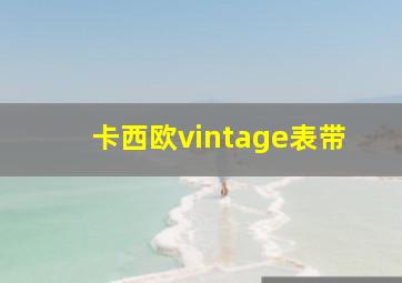 卡西欧vintage表带