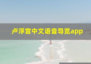 卢浮宫中文语音导览app