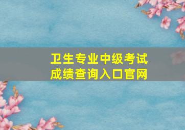 卫生专业中级考试成绩查询入口官网