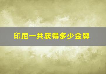 印尼一共获得多少金牌