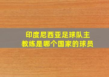 印度尼西亚足球队主教练是哪个国家的球员