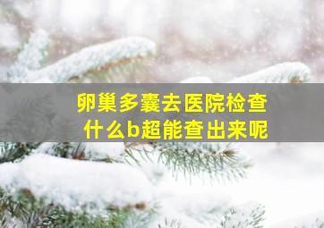 卵巢多囊去医院检查什么b超能查出来呢