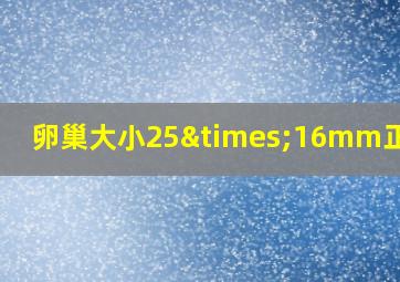 卵巢大小25×16mm正常吗