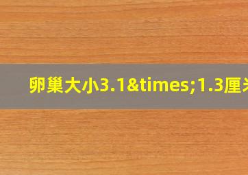 卵巢大小3.1×1.3厘米