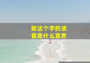 卿这个字的读音是什么意思