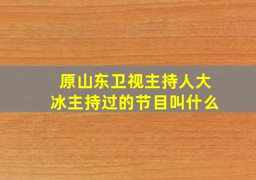 原山东卫视主持人大冰主持过的节目叫什么