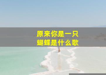 原来你是一只蝴蝶是什么歌