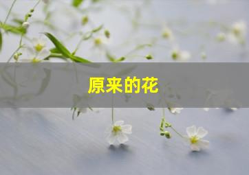 原来的花