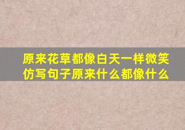 原来花草都像白天一样微笑仿写句子原来什么都像什么