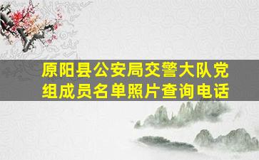 原阳县公安局交警大队党组成员名单照片查询电话