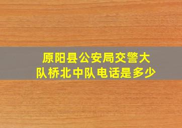 原阳县公安局交警大队桥北中队电话是多少