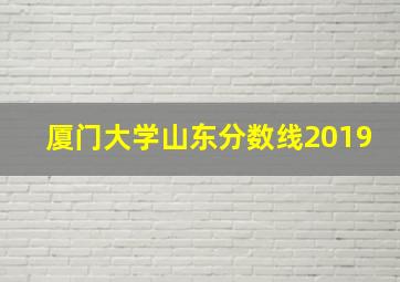 厦门大学山东分数线2019