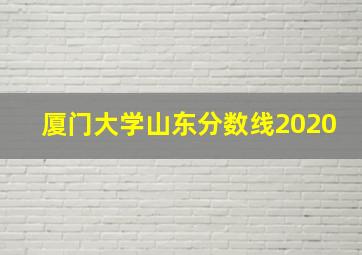 厦门大学山东分数线2020