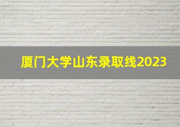 厦门大学山东录取线2023