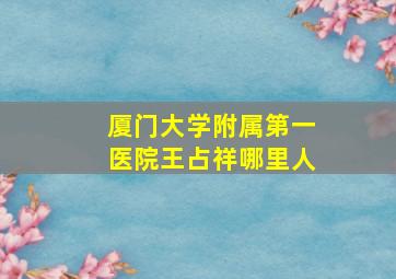 厦门大学附属第一医院王占祥哪里人