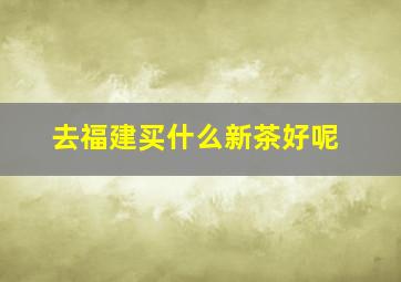 去福建买什么新茶好呢