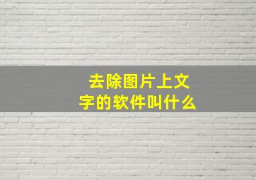 去除图片上文字的软件叫什么