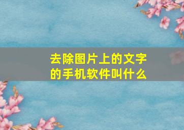 去除图片上的文字的手机软件叫什么