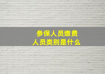 参保人员缴费人员类别是什么