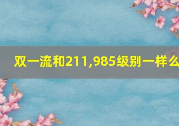 双一流和211,985级别一样么