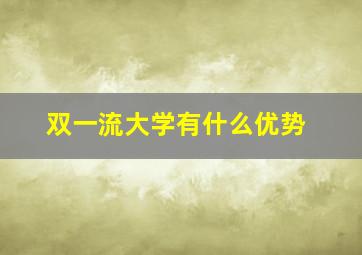 双一流大学有什么优势