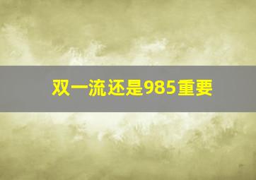 双一流还是985重要