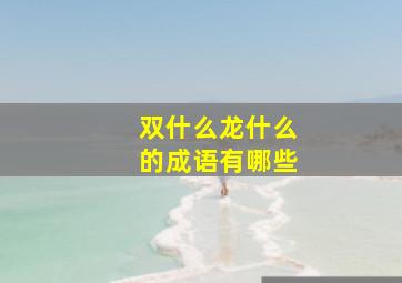 双什么龙什么的成语有哪些