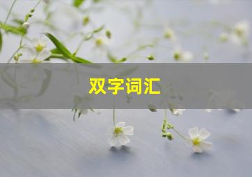 双字词汇