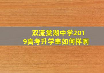 双流棠湖中学2019高考升学率如何样啊