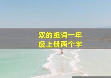 双的组词一年级上册两个字