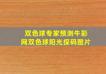 双色球专家预测牛彩网双色球阳光探码图片