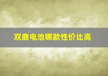 双鹿电池哪款性价比高