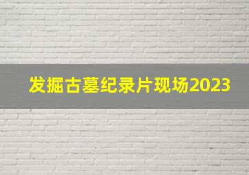 发掘古墓纪录片现场2023