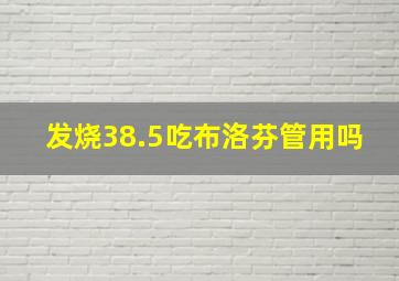 发烧38.5吃布洛芬管用吗