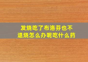 发烧吃了布洛芬也不退烧怎么办呢吃什么药