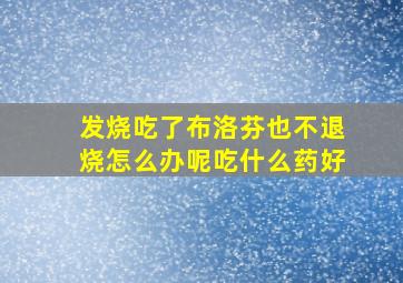 发烧吃了布洛芬也不退烧怎么办呢吃什么药好