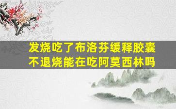 发烧吃了布洛芬缓释胶囊不退烧能在吃阿莫西林吗