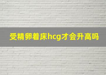 受精卵着床hcg才会升高吗