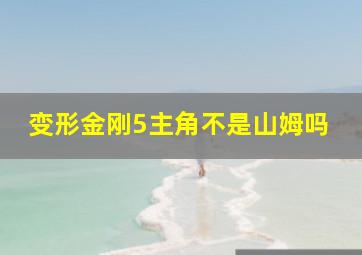 变形金刚5主角不是山姆吗