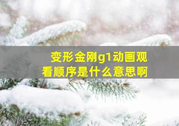 变形金刚g1动画观看顺序是什么意思啊