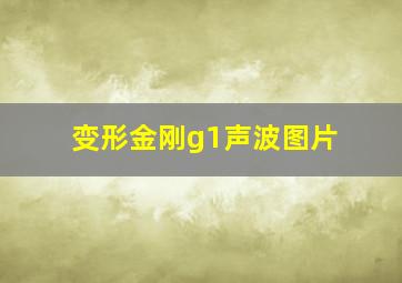 变形金刚g1声波图片