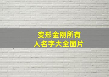 变形金刚所有人名字大全图片