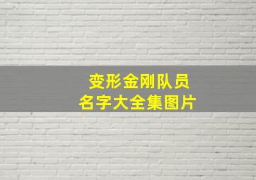 变形金刚队员名字大全集图片