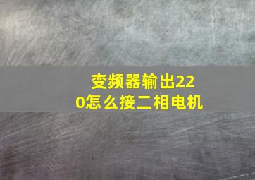 变频器输出220怎么接二相电机