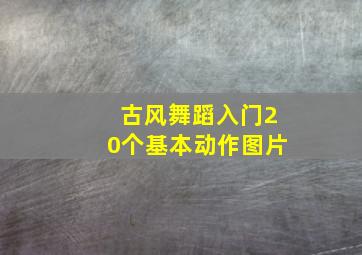 古风舞蹈入门20个基本动作图片