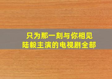 只为那一刻与你相见陆毅主演的电视剧全部