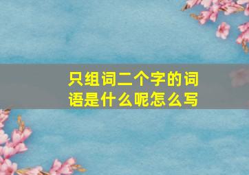 只组词二个字的词语是什么呢怎么写