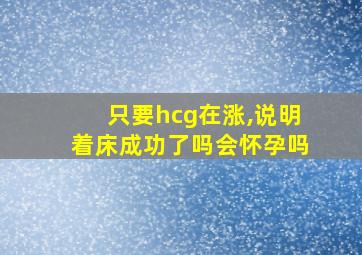 只要hcg在涨,说明着床成功了吗会怀孕吗