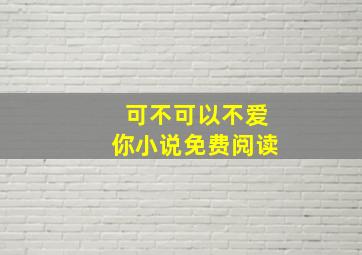 可不可以不爱你小说免费阅读