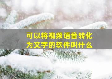 可以将视频语音转化为文字的软件叫什么